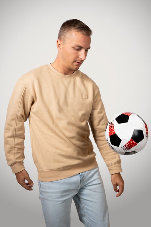 Fabian_Aebischer_MS_Web